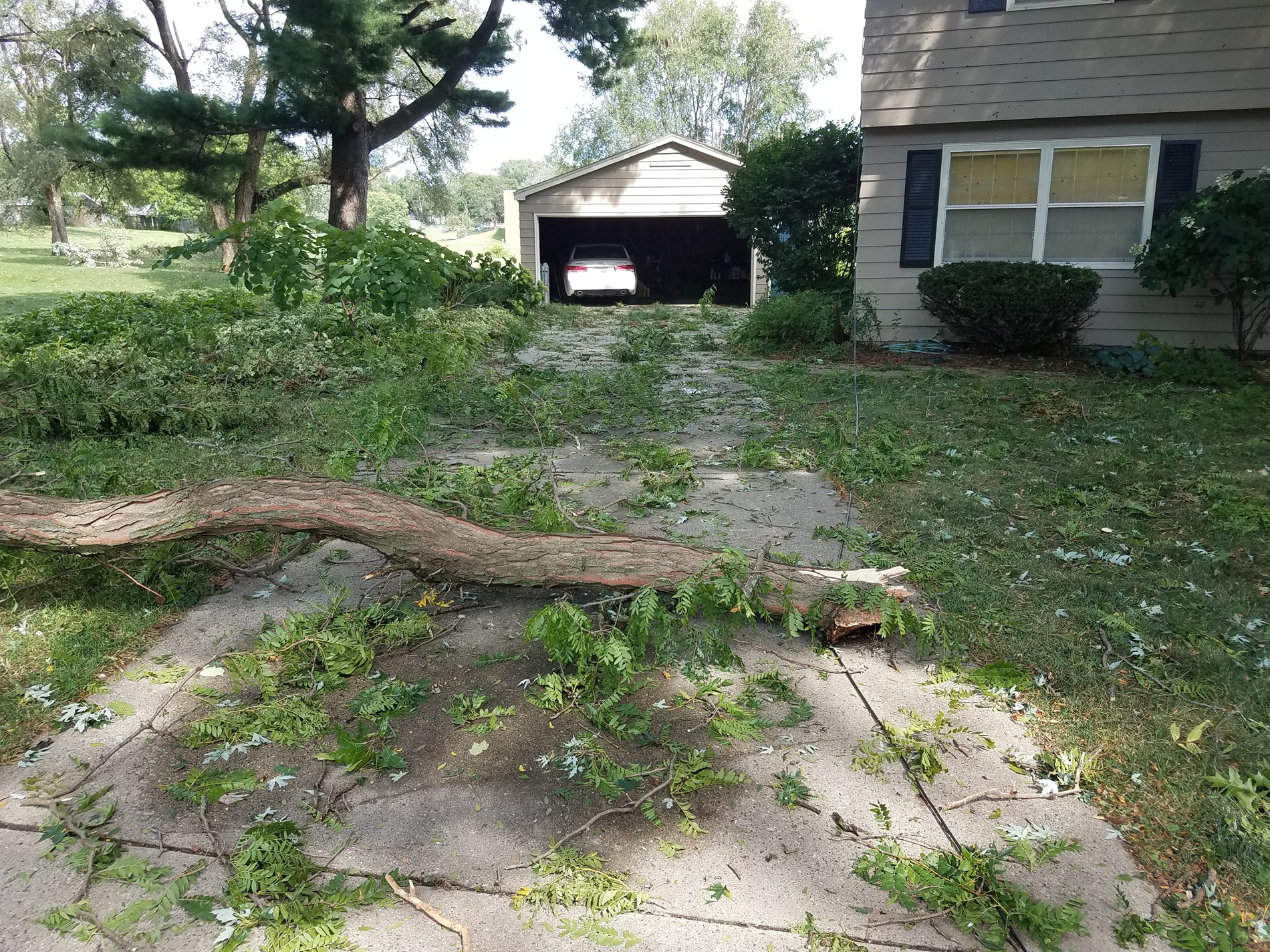 Storm Debris Storm Debris